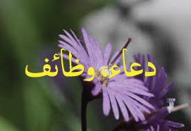 دعاء و وظائف